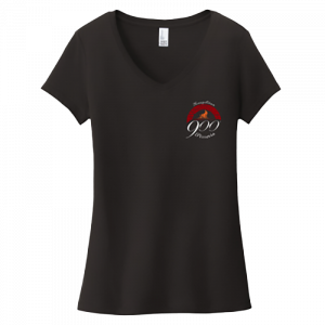 Women's Flipping Pies for 15 Years V-Neck Shirts